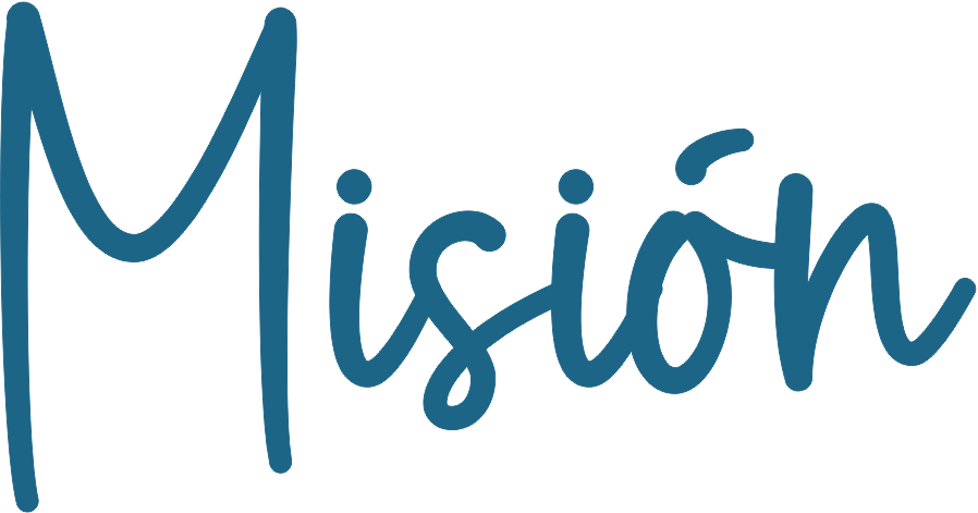 Vision